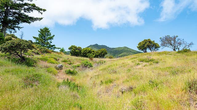 Mt. Tam ranked best state park for hiking in California
