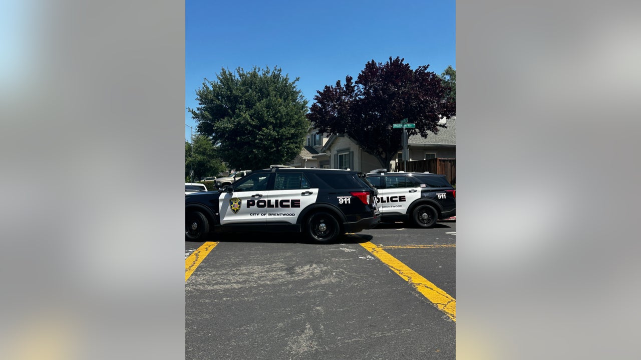 Arrest News Image