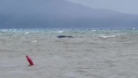 NTSB shares early findings in Tahoe boat accident that claimed 8 lives