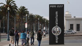 New exhibit at SF's Exploratorium explores AI