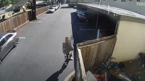 Video: 14-year-old charged with San Jose attempted murder