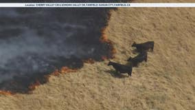 Crews battle grass fire in Fairfield, evacuation orders lifted