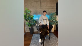21-year-old Ivy League dropouts raise millions, launch Bay Area AI startup to 'cheat on everything’
