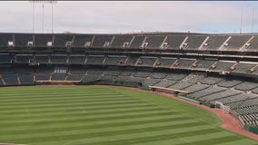 Trump travel ban could impact Afghan cricket players traveling to Major League matches