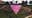 Pink Triangle atop San Francisco's Twin Peaks vandalized, police make arrest