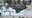 Timeline: ICE detentions and protests in California - LA and San Francisco Bay Area