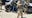 Legal showdown over California National Guard heads to 9th Circuit