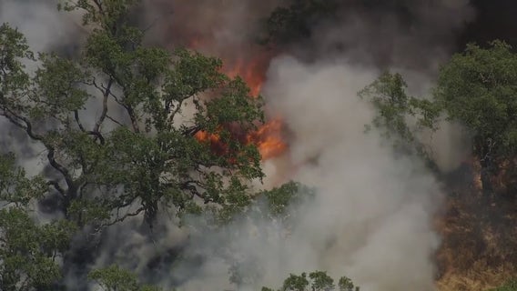 Vegetation fire burns near Mt. Diablo