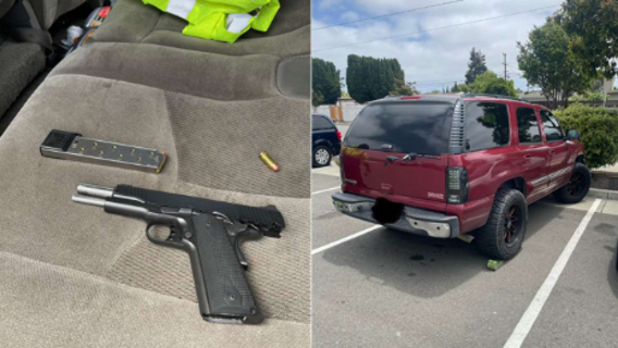 Suspect arrested in Dublin freeway shooting