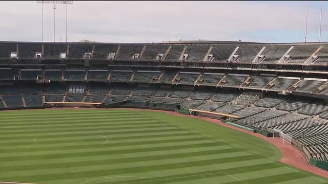 Trump travel ban could impact Afghan cricket players traveling to Major League matches