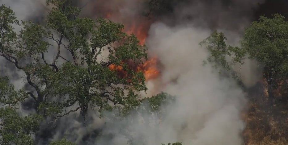 Vegetation fire burns near Mt. Diablo