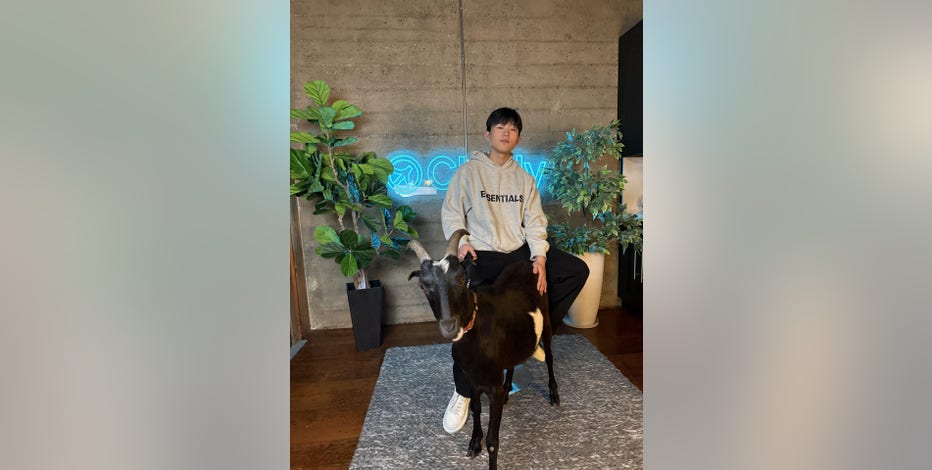 21-year-old Ivy League dropouts raise millions, launch Bay Area AI startup to 'cheat on everything’