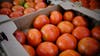 US imposes a 17% duty on fresh Mexican tomatoes in hopes of boosting domestic production