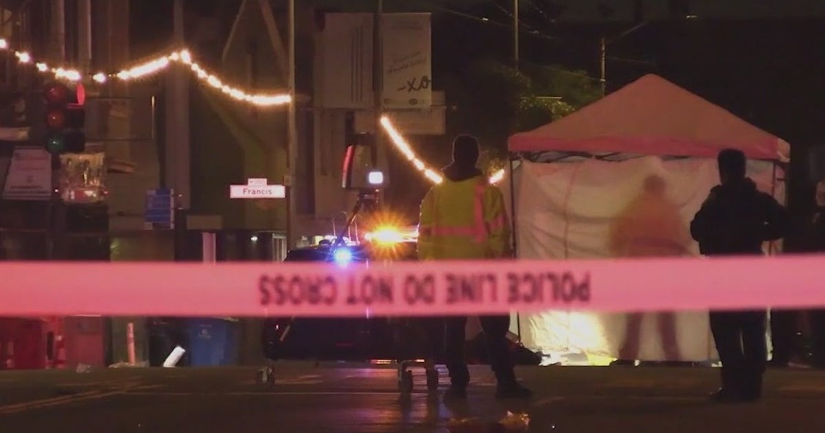 Pedestrian killed in hit-and-run crash in San Francisco's Excelsior ...
