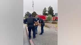 Woman arrested for hate crime, allegedly set Novato church property on fire