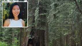 Falling branch at Yosemite strikes and kills 29-year-old Google employee