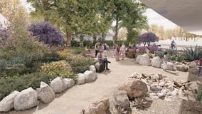 Neighbors turn neglected overpass into community garden in Oakland