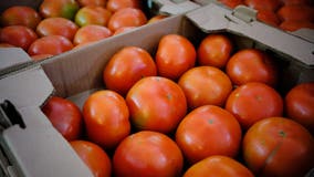 US imposes a 17% duty on fresh Mexican tomatoes in hopes of boosting domestic production