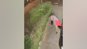 Authorities seek to identify man who burned raccoon with a blowtorch