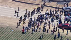 ICE agents, protesters clash during raid at California farm