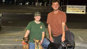 Vallejo rat infestation eases after Sacramento group swoops in