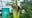 Stinky corpse flower in San Francisco is now in bloom