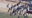 ICE agents, protesters clash during raid at California farm