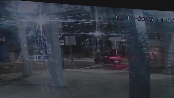 Surveillance video shows car involved in fatal shooting of San Leandro dog-walker