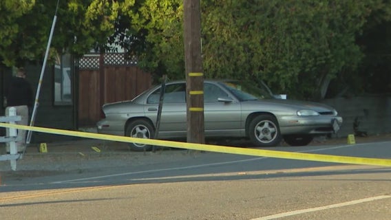 Shooting of 71-year-old Pleasanton man tied to animal abuse allegations, police say