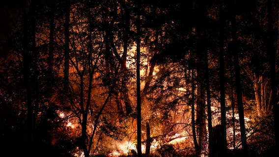 Santa Cruz County startup in semifinals of global wildfire tech competition