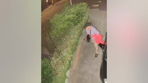 Authorities seek to identify man who burned raccoon with a blowtorch