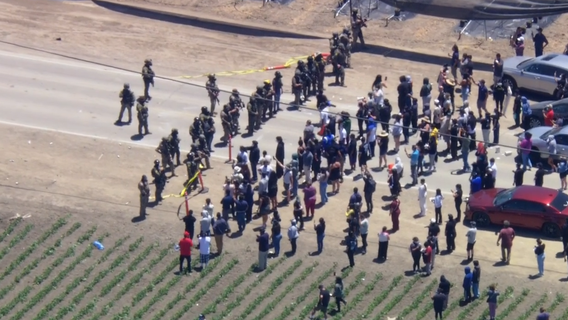 ICE agents, protesters clash during raid at California farm