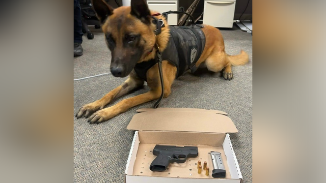 2 men arrested after police K9 detects hidden gun