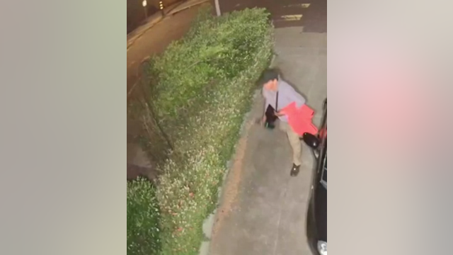 Authorities seek to identify man who burned raccoon with a blowtorch