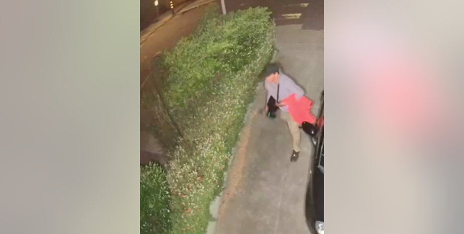 Authorities seek to identify man who burned raccoon with a blowtorch