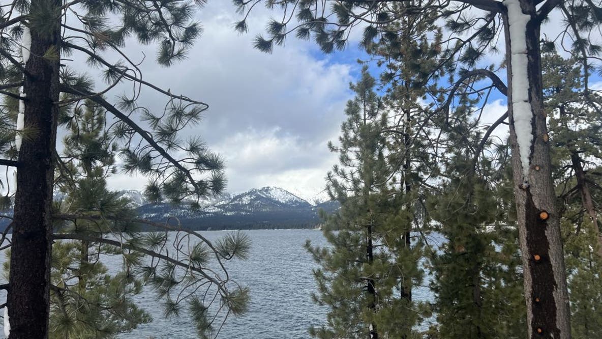 South Lake Tahoe resident tests positive for plague