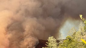 A major clue in Pickett Fire's origins handed to CAL FIRE