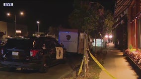 4-year-old boy killed, 6-year-old girl injured in Burlingame pedestrian crash