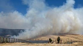Benicia fire grows to nearly 170 acres