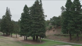 Oakland neighbors fight golf course's plan to remove nearly 200 redwood trees