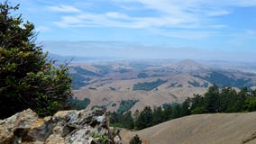 Spike in wasp population prompts warning for park visitors in North Bay