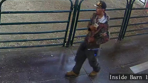 Baby turkey theft from San Jose farm caught on camera