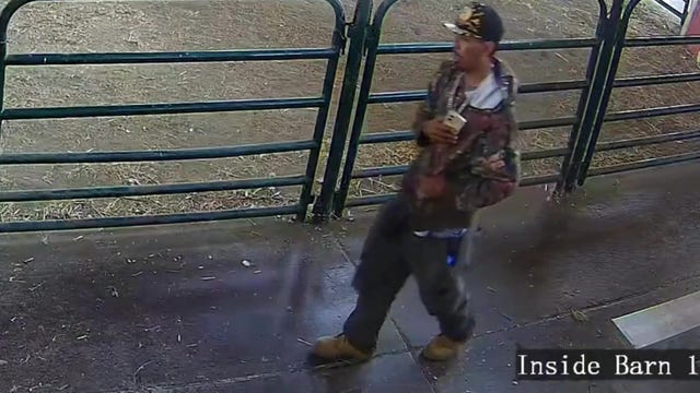 Baby turkey theft from San Jose farm caught on camera