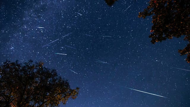 How will Bay Area fog affect the Perseids meteor shower?