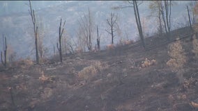 Pickett Fire is out but rain danger lies ahead
