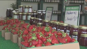 California farmers could fall to tariffs, costing the state's economy