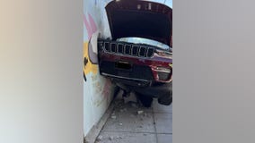 Catastrophe! San Jose cat shelter closed after 2-car collision damages sanctuary
