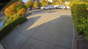 Oakland DoorDash driver hits woman, dog after completing delivery