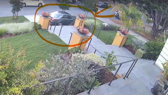 Berkeley BMW driver arrested in chaotic takedown: court docs