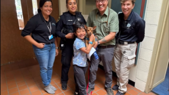 San Francisco family reunited with missing dog after a year